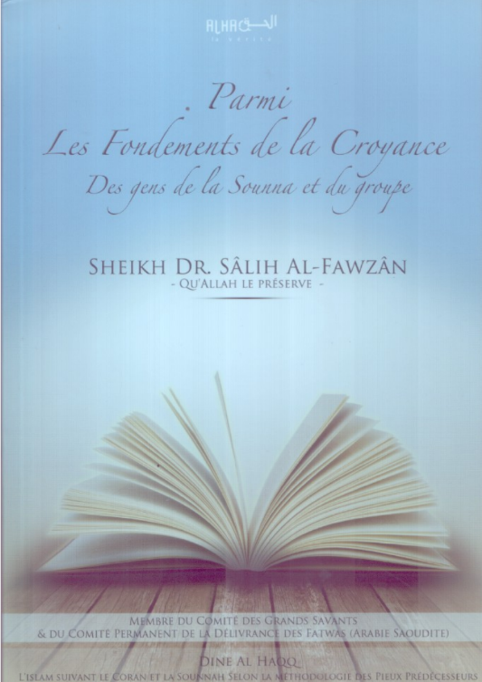 Couverture Fondements de la Croyance